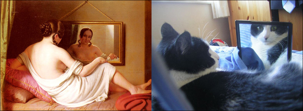 Фотография: Коты и искусство №20 - BigPicture.ru
