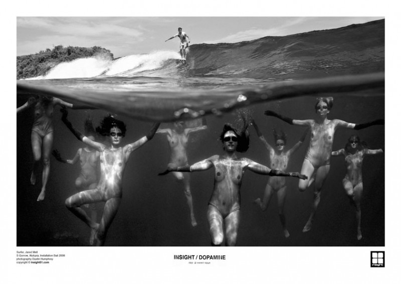 Фотография: Фантастические надводно-подводные фото №1 - BigPicture.ru