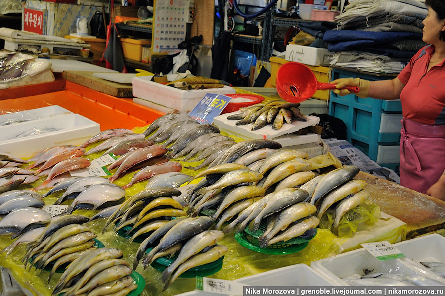 Фотография: Знаменитый рыбный рынок в Сеуле №103 - BigPicture.ru