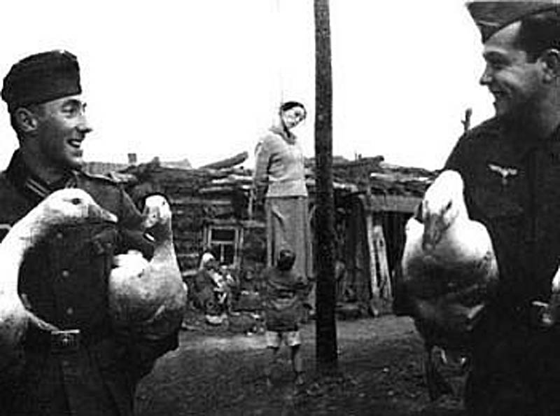 Фотография: Фотомонтаж как инструмент пропаганды в Великой Отечественной войне №14 - BigPicture.ru