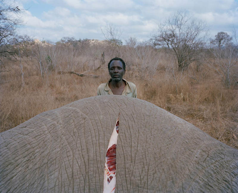 Фотография: Охотники и трофеи Африки №16 - BigPicture.ru