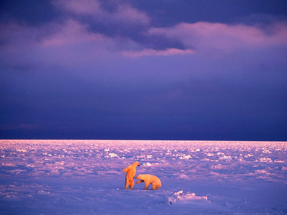 Фотография: 21 фото от National Geographic №20 - BigPicture.ru