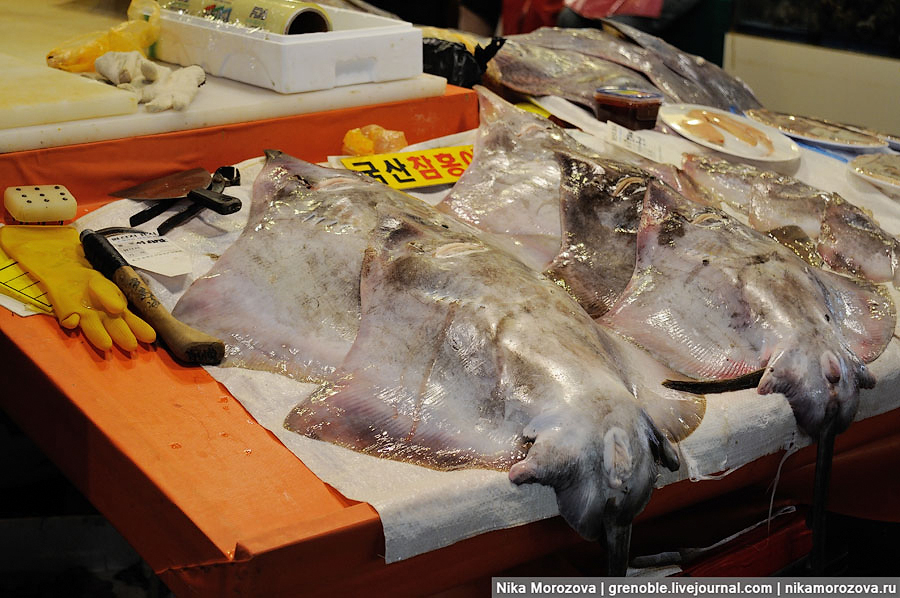 Фотография: Знаменитый рыбный рынок в Сеуле №24 - BigPicture.ru