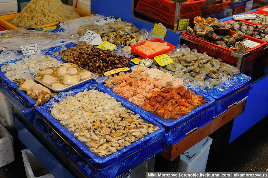 Фотография: Знаменитый рыбный рынок в Сеуле №34 - BigPicture.ru