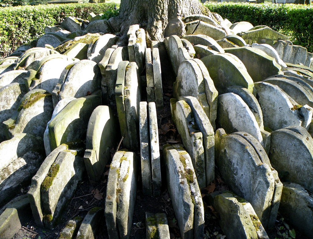 Могильное дерево Харди с сотнями надгробных плит