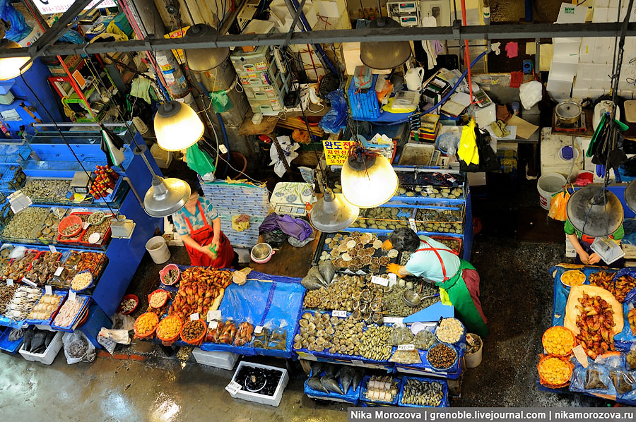 Фотография: Знаменитый рыбный рынок в Сеуле №4 - BigPicture.ru