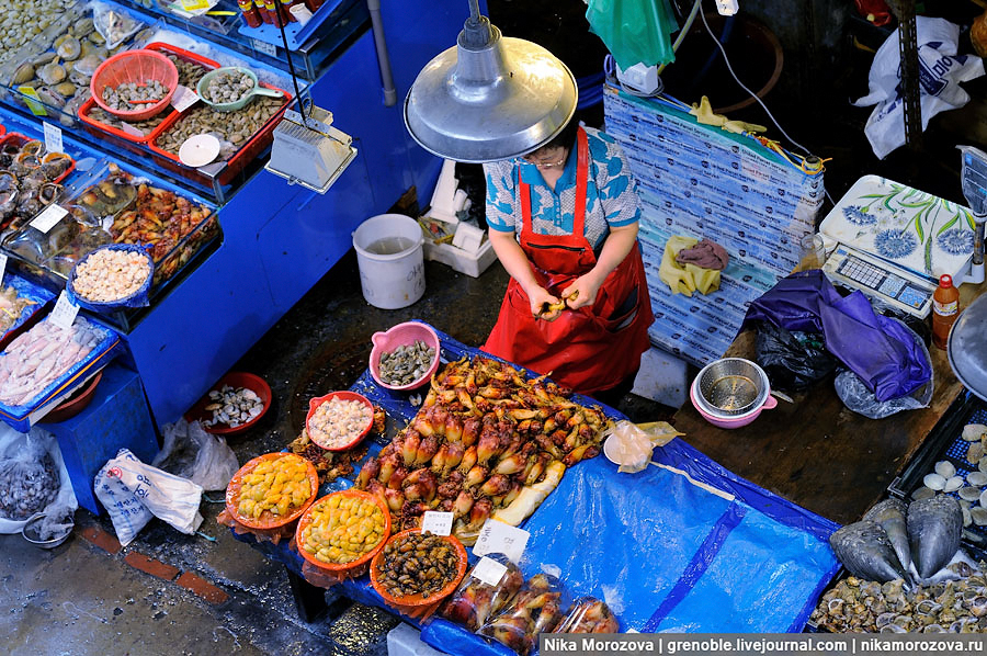 Фотография: Знаменитый рыбный рынок в Сеуле №5 - BigPicture.ru