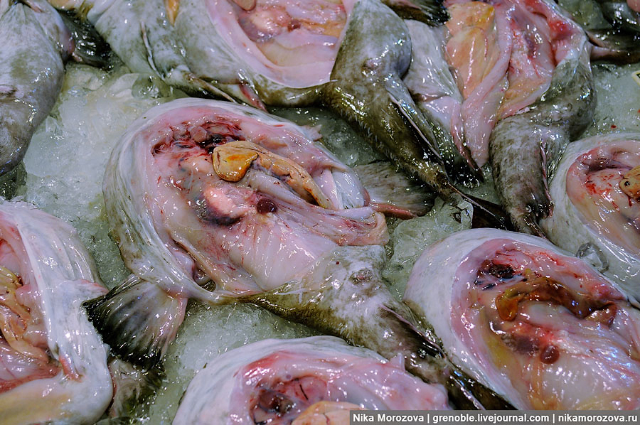 Фотография: Знаменитый рыбный рынок в Сеуле №70 - BigPicture.ru