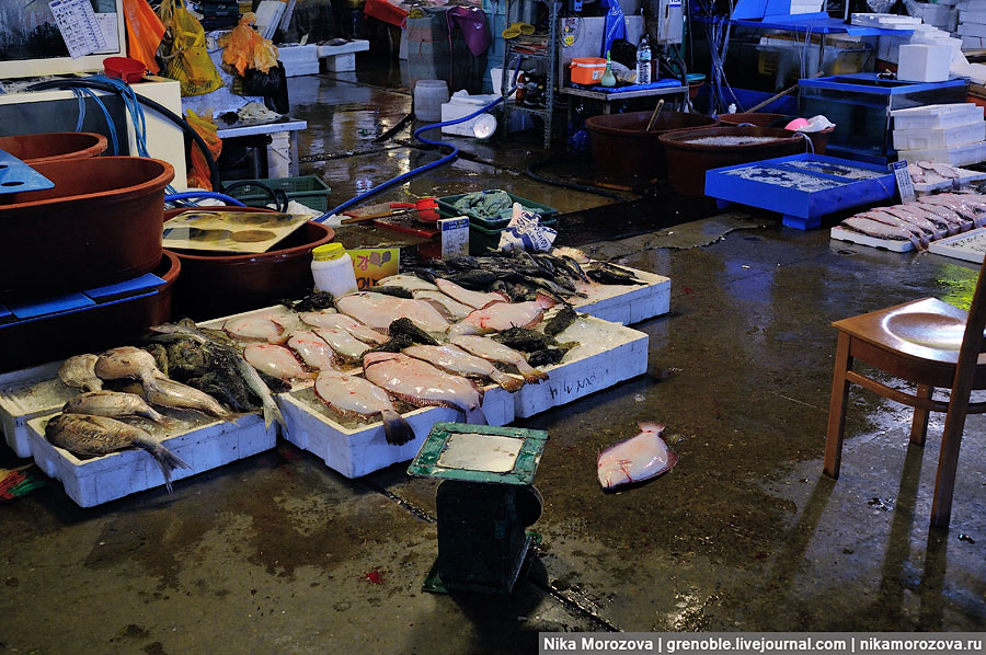 Фотография: Знаменитый рыбный рынок в Сеуле №78 - BigPicture.ru