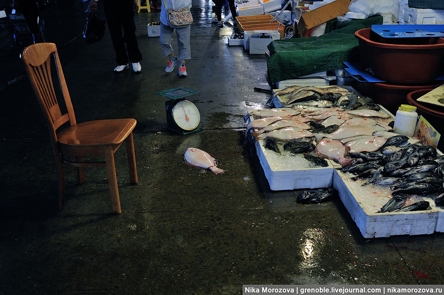 Фотография: Знаменитый рыбный рынок в Сеуле №80 - BigPicture.ru
