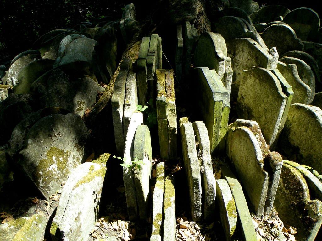 Фотография: Дерево Харди с сотнями надгробных плит №10 - BigPicture.ru