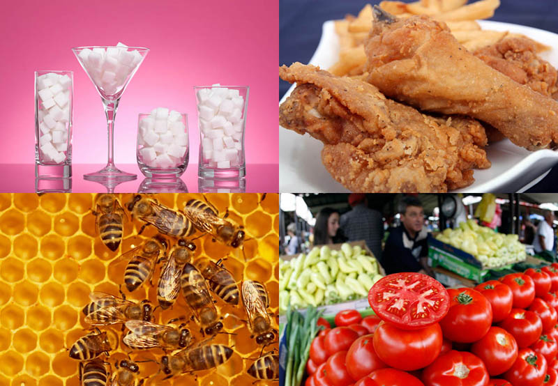 Фотография: 15 мифов об американской еде №1 - BigPicture.ru