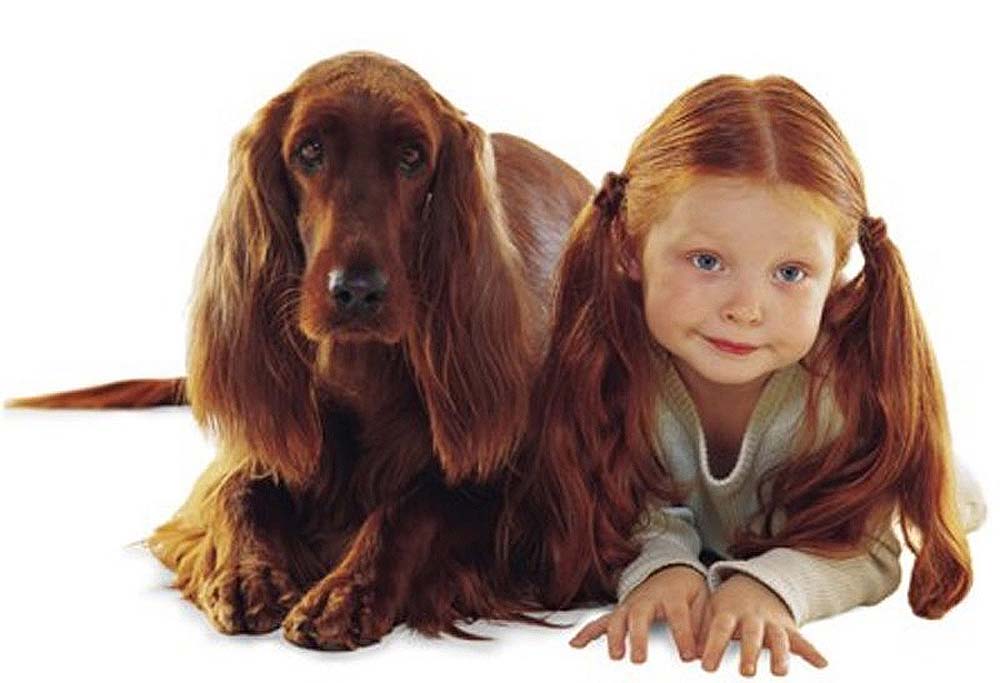 Фотография: Дети и собаки №2 - BigPicture.ru
