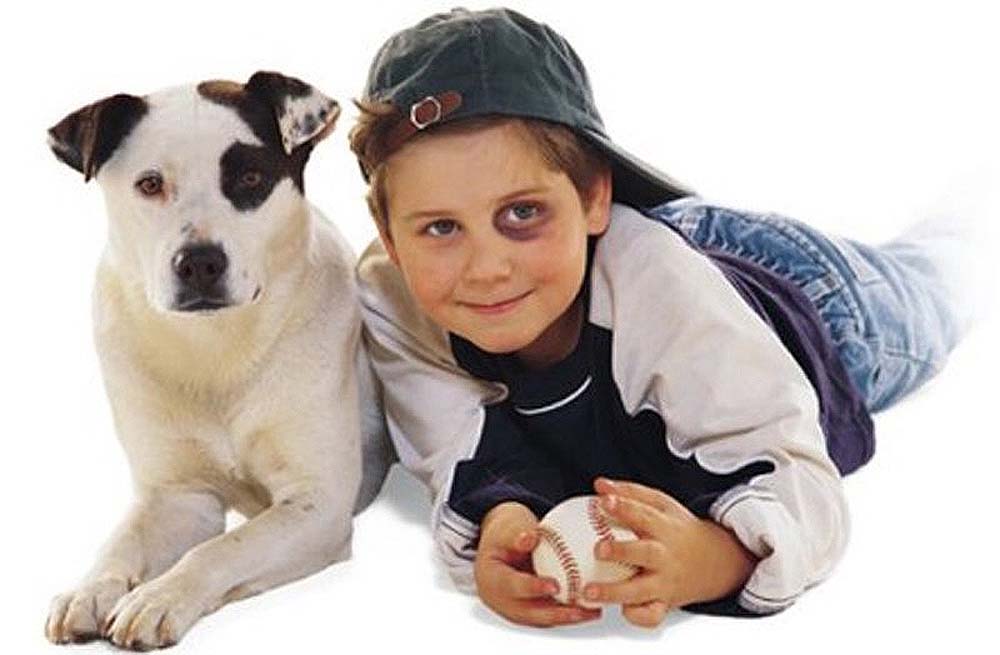 Фотография: Дети и собаки №5 - BigPicture.ru