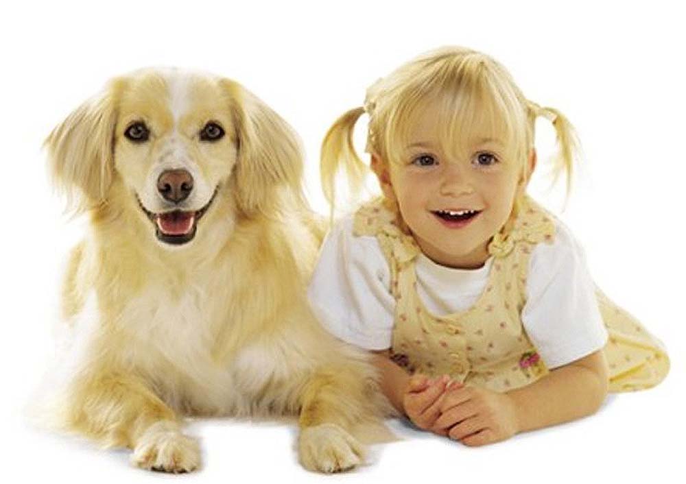 Фотография: Дети и собаки №6 - BigPicture.ru