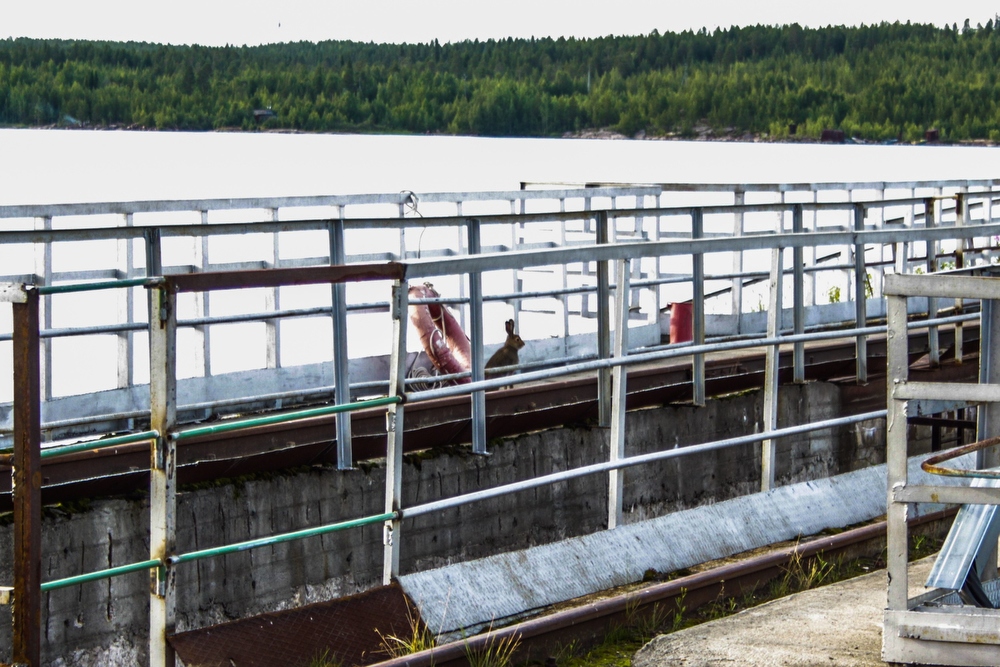 Фотография: Энергокруиз: как устроены электростанции Северо-Запада №16 - BigPicture.ru