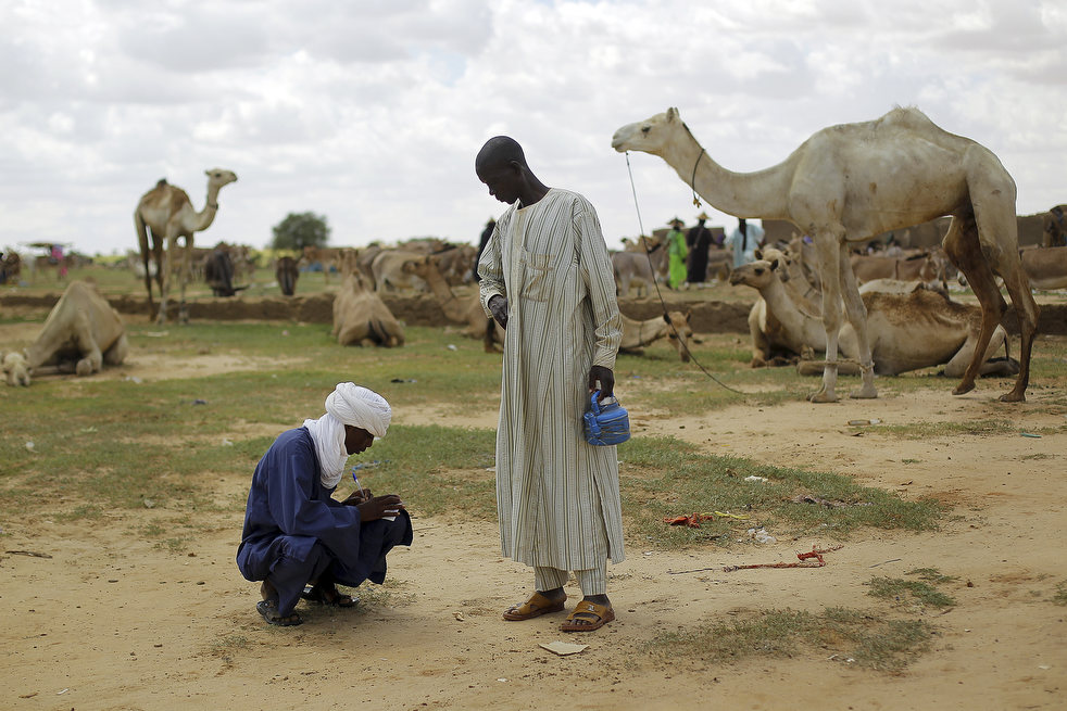 Фотография: Нигер - голод заставляет жителей продать последнего верблюда №11 - BigPicture.ru