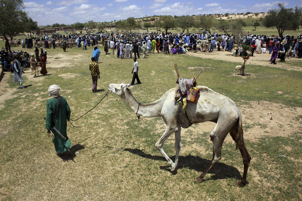 Фотография: Нигер - голод заставляет жителей продать последнего верблюда №12 - BigPicture.ru