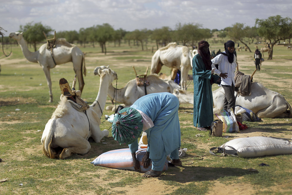 Фотография: Нигер - голод заставляет жителей продать последнего верблюда №13 - BigPicture.ru