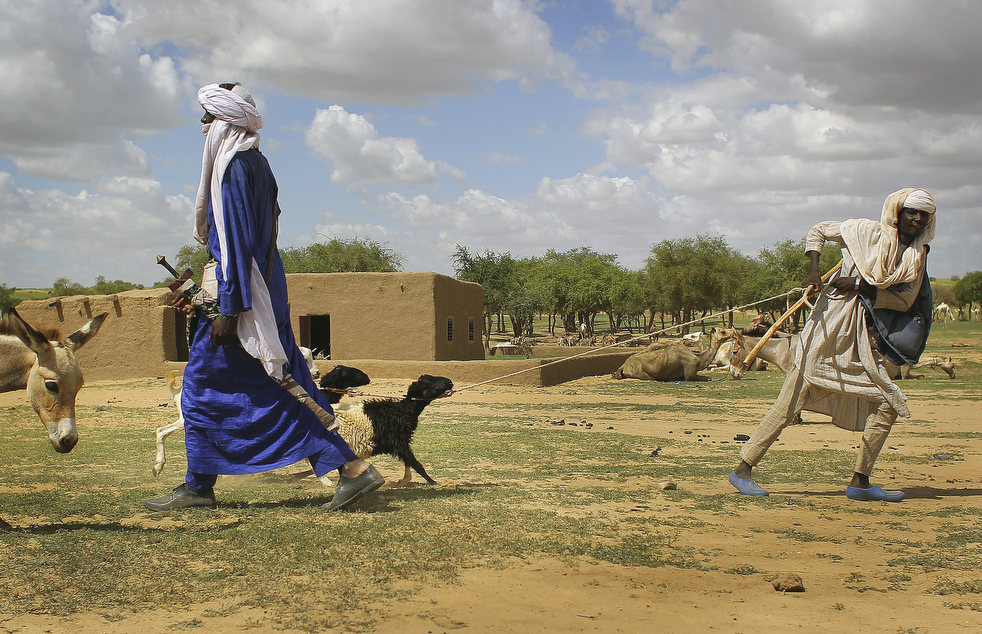 Фотография: Нигер - голод заставляет жителей продать последнего верблюда №15 - BigPicture.ru