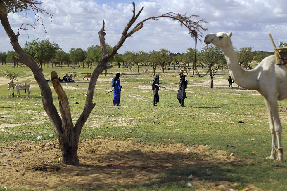 Фотография: Нигер - голод заставляет жителей продать последнего верблюда №16 - BigPicture.ru