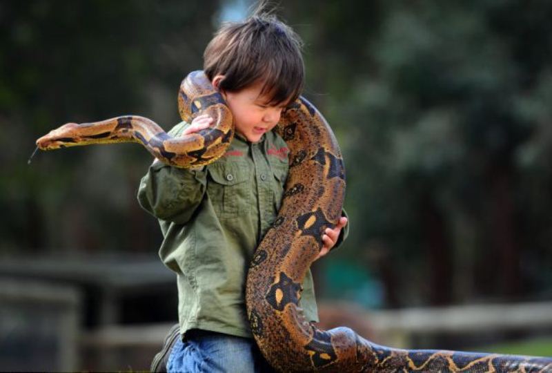 Фотография: 2-летний рейнджер укрощает рептилий №11 - BigPicture.ru
