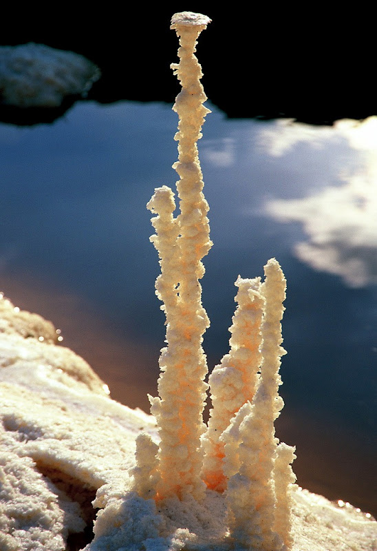 Фотография: Странные соляные образования в Мертвом море №12 - BigPicture.ru