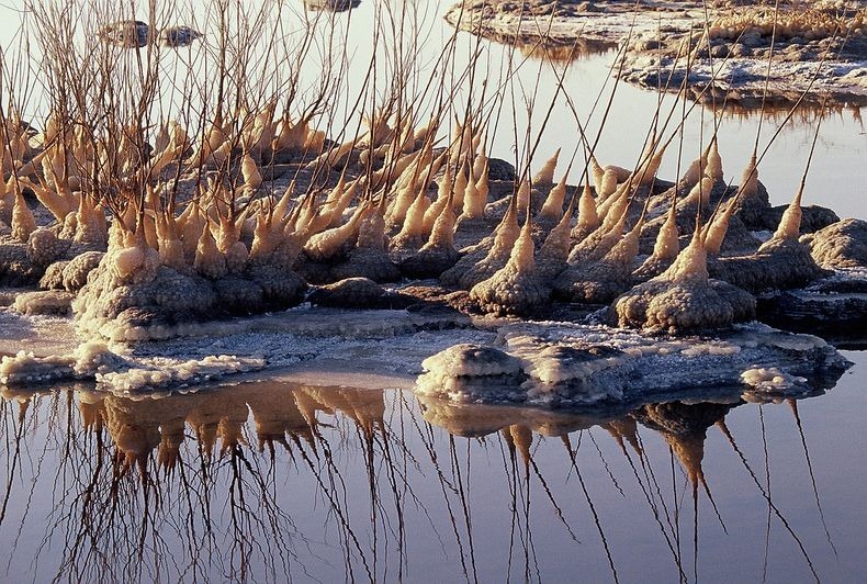Фотография: Странные соляные образования в Мертвом море №13 - BigPicture.ru