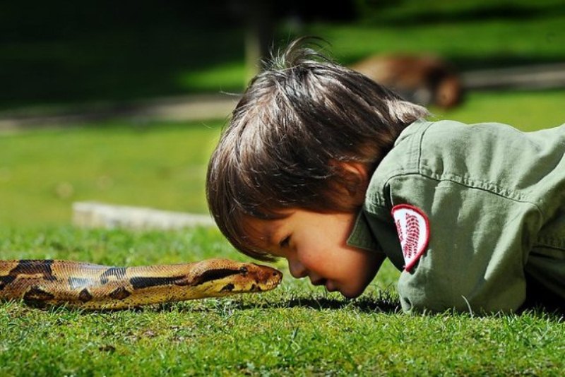 Фотография: 2-летний рейнджер укрощает рептилий №5 - BigPicture.ru