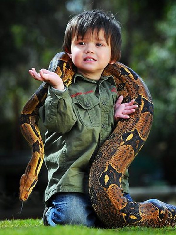 Фотография: 2-летний рейнджер укрощает рептилий №6 - BigPicture.ru