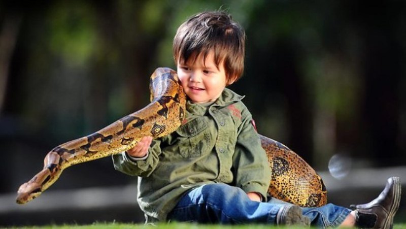 Фотография: 2-летний рейнджер укрощает рептилий №7 - BigPicture.ru