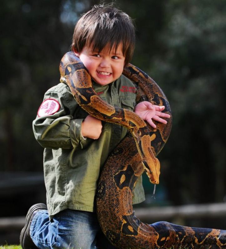 Фотография: 2-летний рейнджер укрощает рептилий №8 - BigPicture.ru