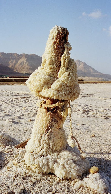 Фотография: Странные соляные образования в Мертвом море №8 - BigPicture.ru