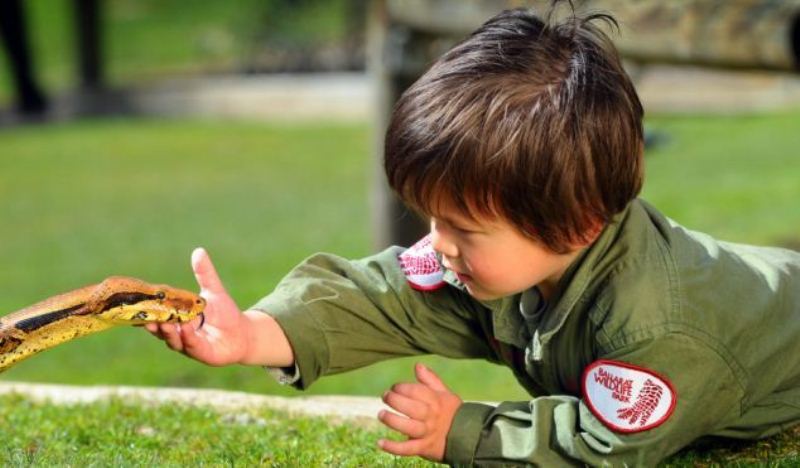 Фотография: 2-летний рейнджер укрощает рептилий №9 - BigPicture.ru