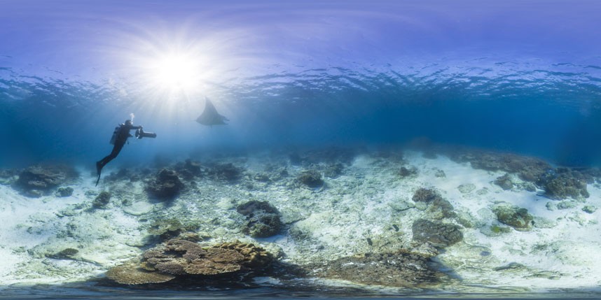 Фотография: Коралловые рифы в фотографиях №4 - BigPicture.ru