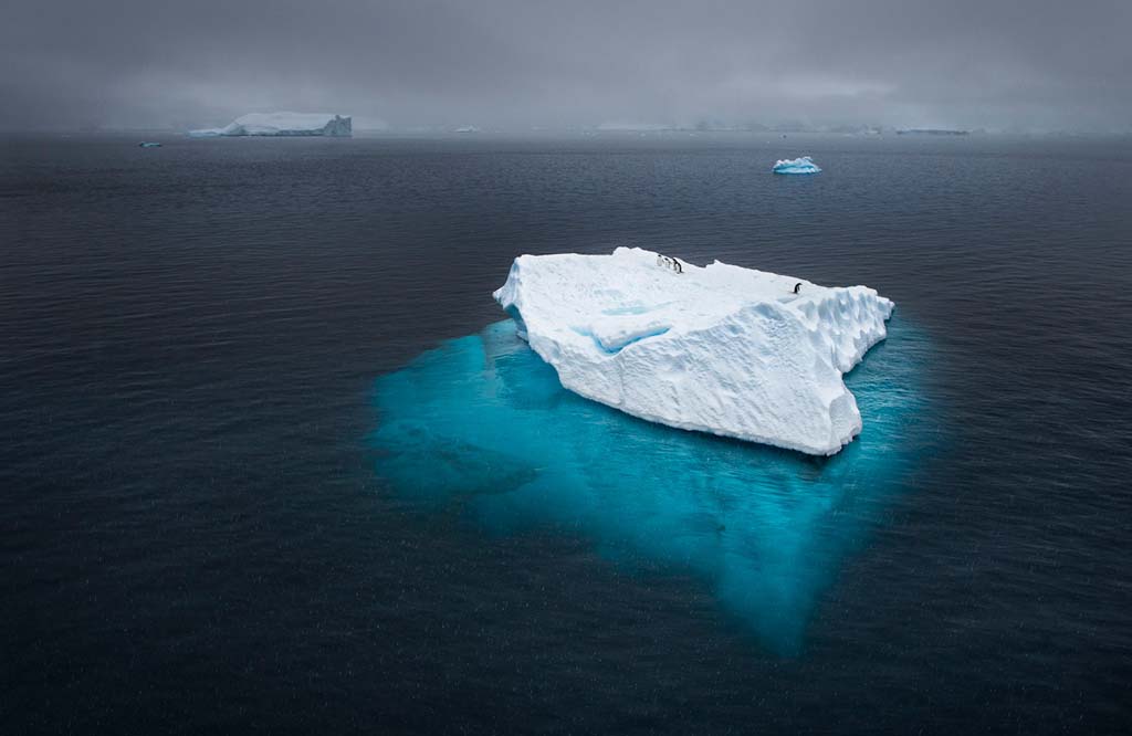 Фотография: Фотоконкурс от National Geographic 2012 №41 - BigPicture.ru