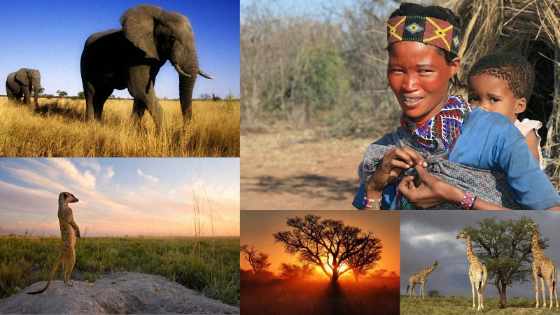 Фотография: Незабываемое путешествие в Африку в стиле YOLO №1 - BigPicture.ru