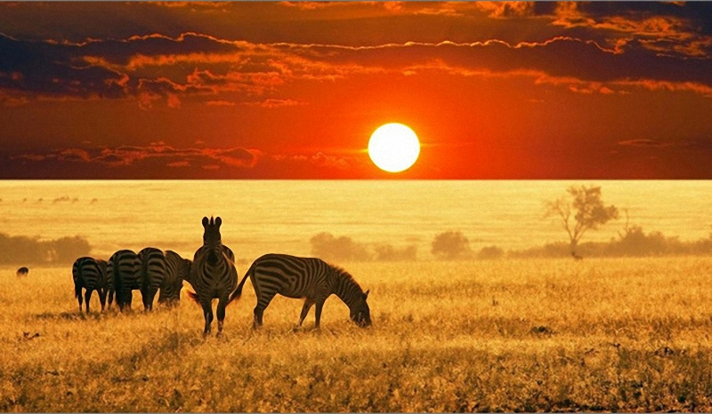 Фотография: Незабываемое путешествие в Африку в стиле YOLO №12 - BigPicture.ru