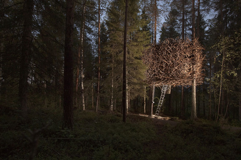Фотография: Отель Treehotel в Швеции для любителей природы №13 - BigPicture.ru