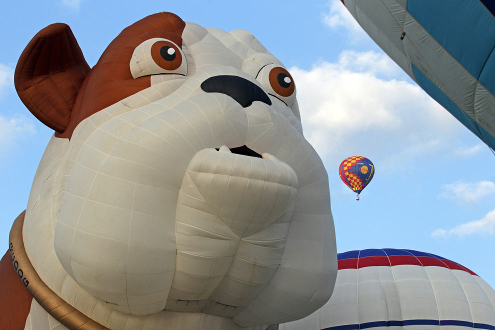 Фотография: Воздушные шары со всего мира №6 - BigPicture.ru