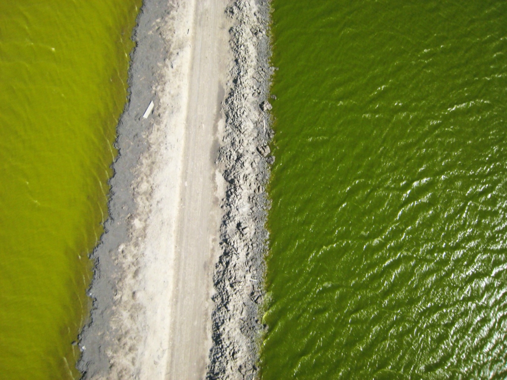 Фотография: Соляные пруды в заливе Сан-Франциско №4 - BigPicture.ru
