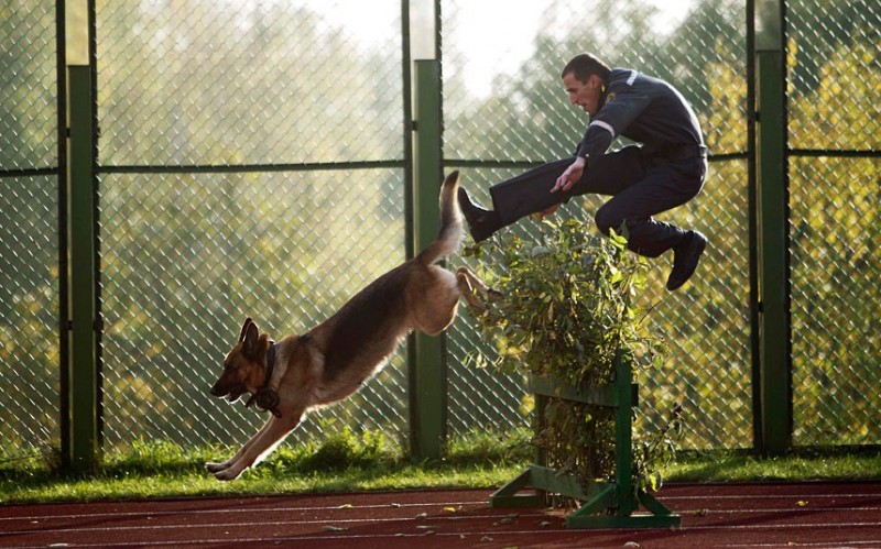 Фотография: Забавные, трогательные и интересные фотографии животных за минувшую неделю №12 - BigPicture.ru