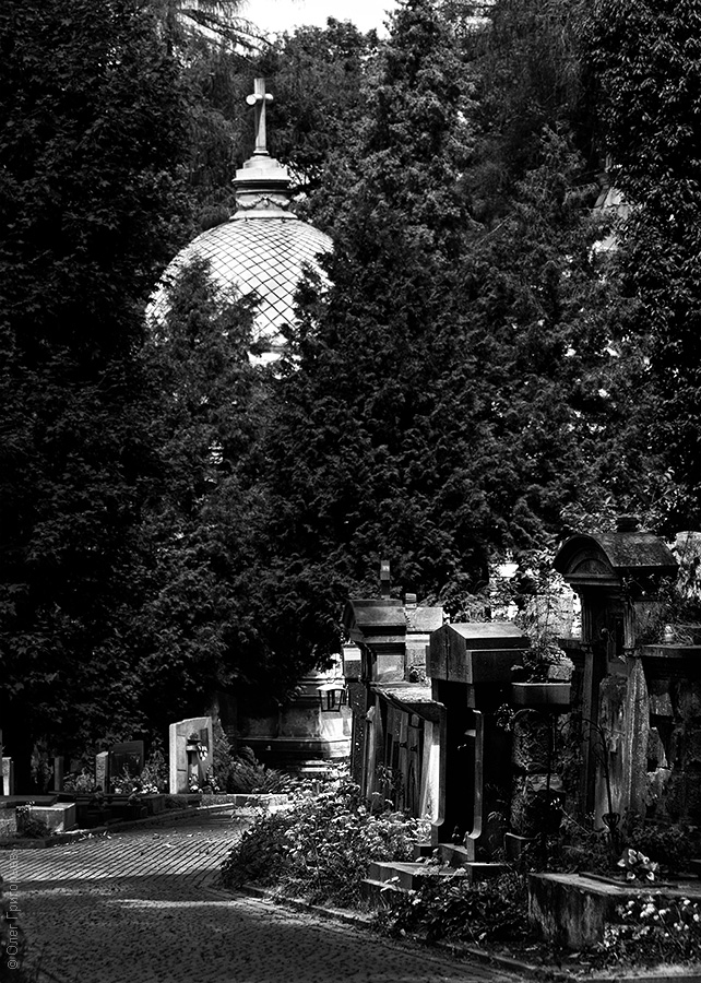 Фотография: Лычаковское кладбище (Часть 2) №18 - BigPicture.ru