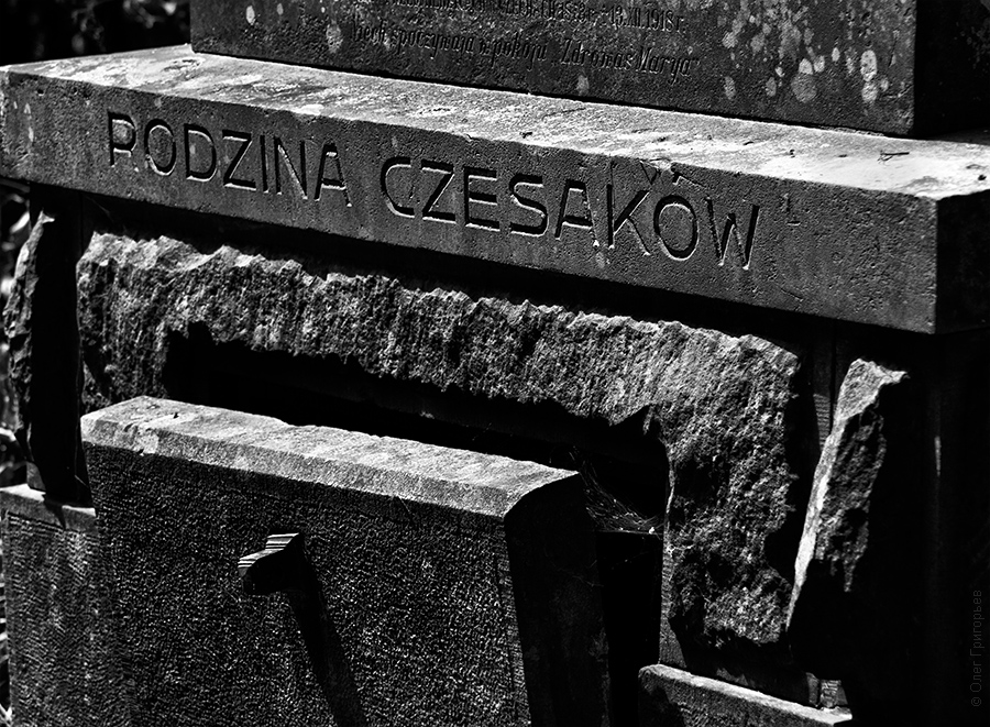 Фотография: Лычаковское кладбище (Часть 2) №22 - BigPicture.ru
