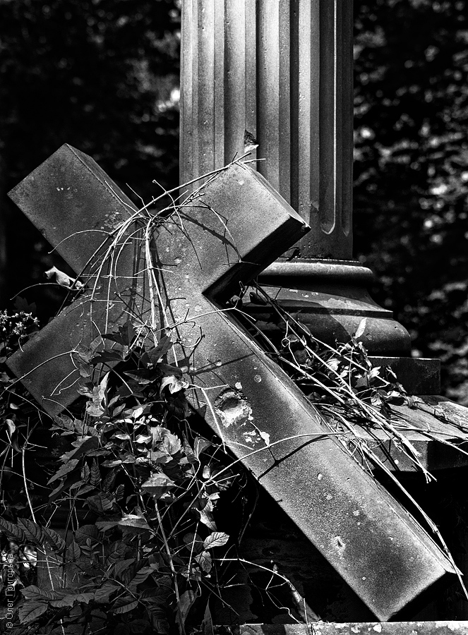 Фотография: Лычаковское кладбище (Часть 2) №26 - BigPicture.ru