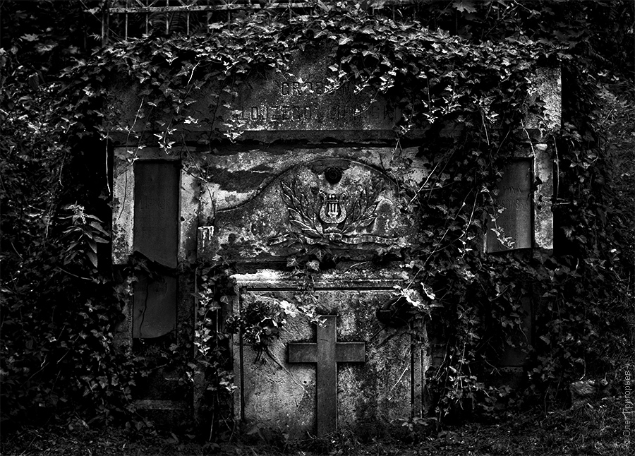 Фотография: Лычаковское кладбище (Часть 2) №29 - BigPicture.ru