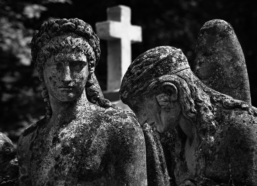 Фотография: Лычаковское кладбище (Часть 2) №4 - BigPicture.ru