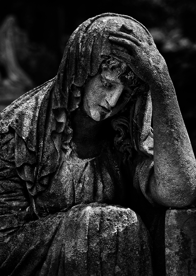 Фотография: Лычаковское кладбище (Часть 2) №32 - BigPicture.ru