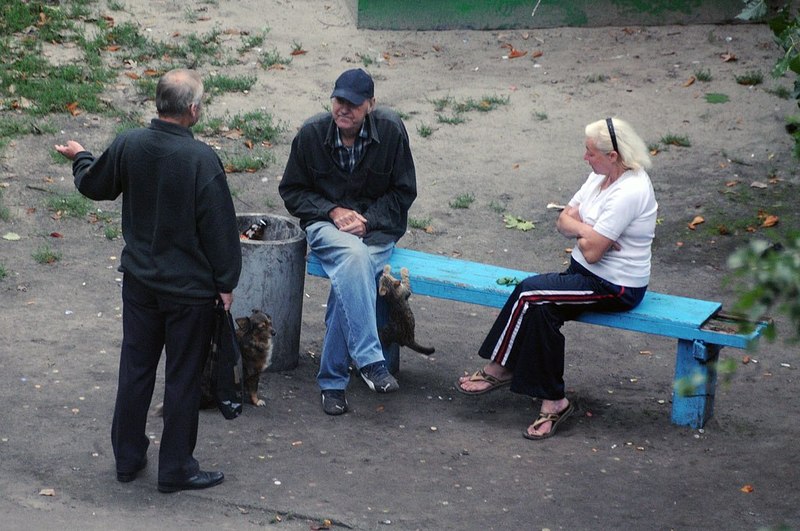 Фотография: Фотограф четыре года снимал, что происходит на лавочке в украинском дворе №3 - BigPicture.ru