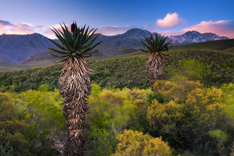 Фотография: Прекрасные и разнообразные пейзажи Южной Африки №48 - BigPicture.ru